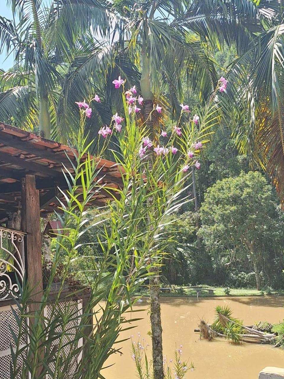 Villa Chácara ladeira de Pedra Salesópolis Esterno foto