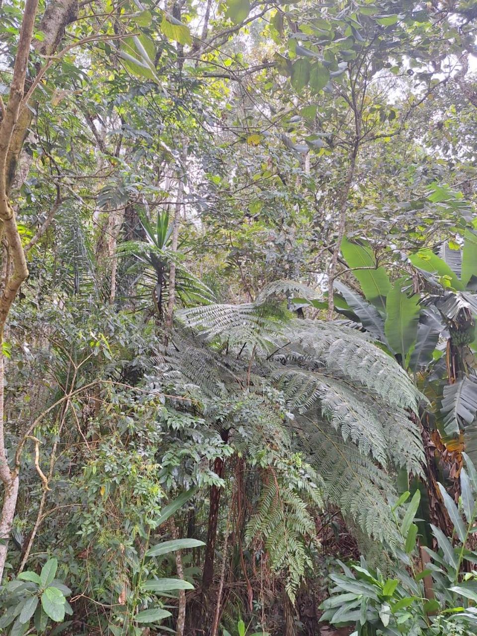 Villa Chácara ladeira de Pedra Salesópolis Esterno foto
