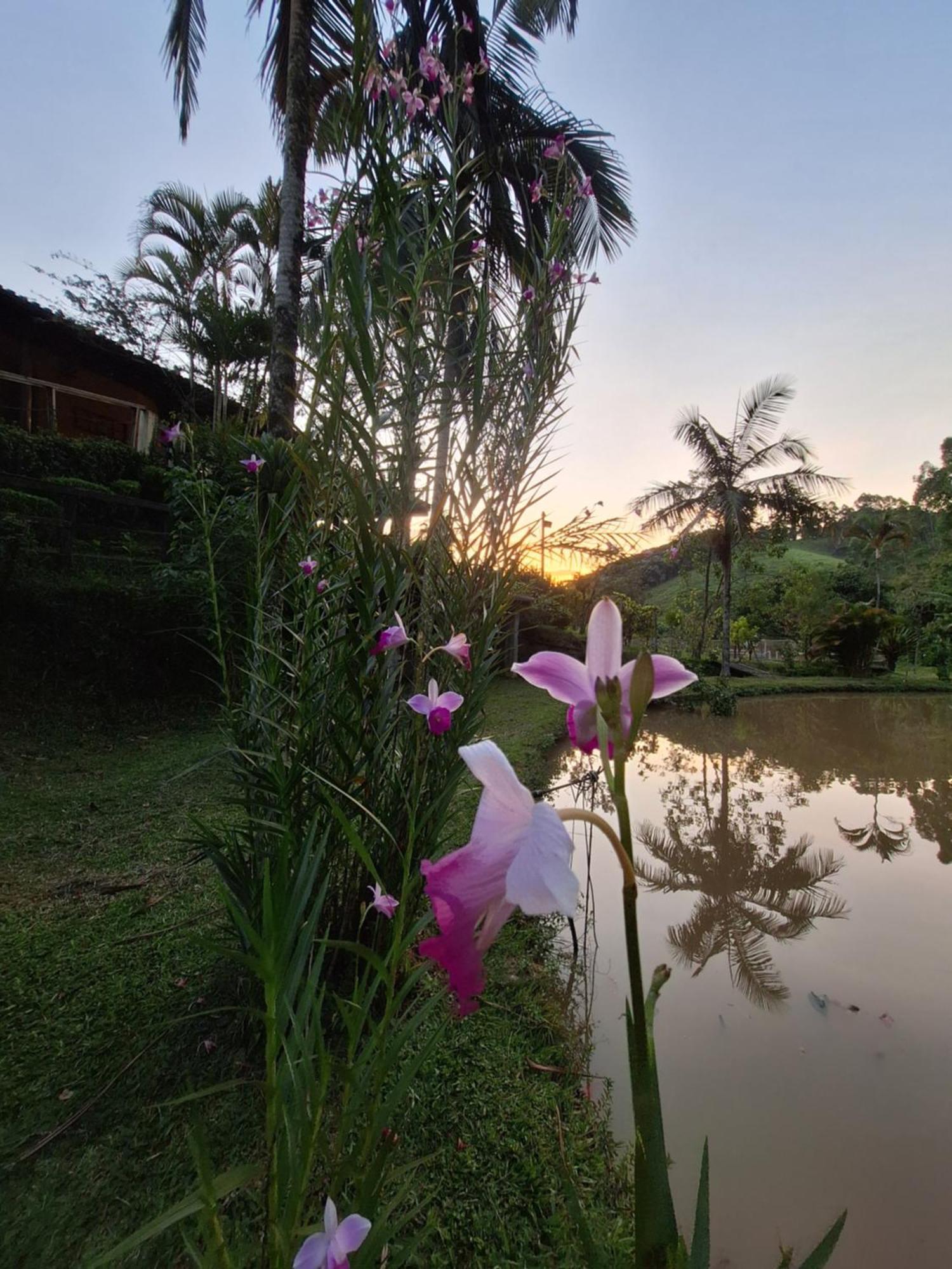 Villa Chácara ladeira de Pedra Salesópolis Esterno foto