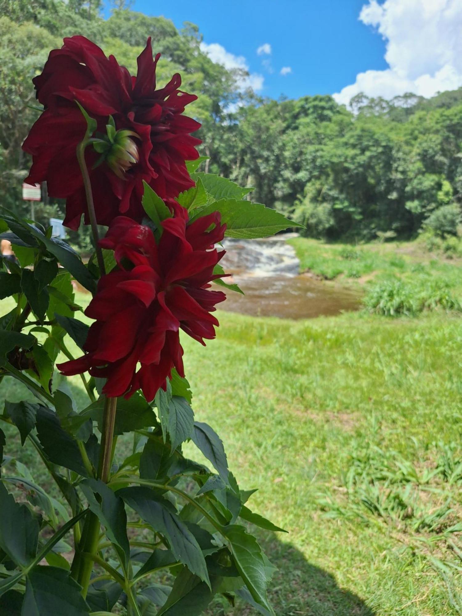 Villa Chácara ladeira de Pedra Salesópolis Esterno foto